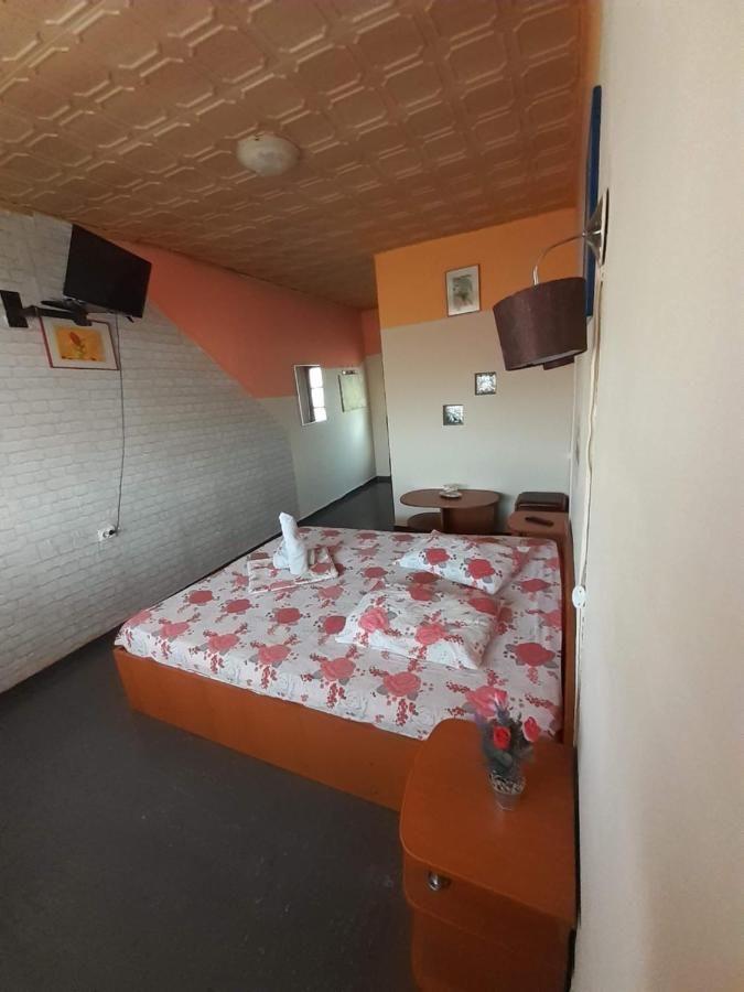Отели типа «постель и завтрак» Aparthotel VIPs Рымнику-Вылча-6